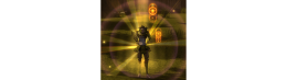 Leveling